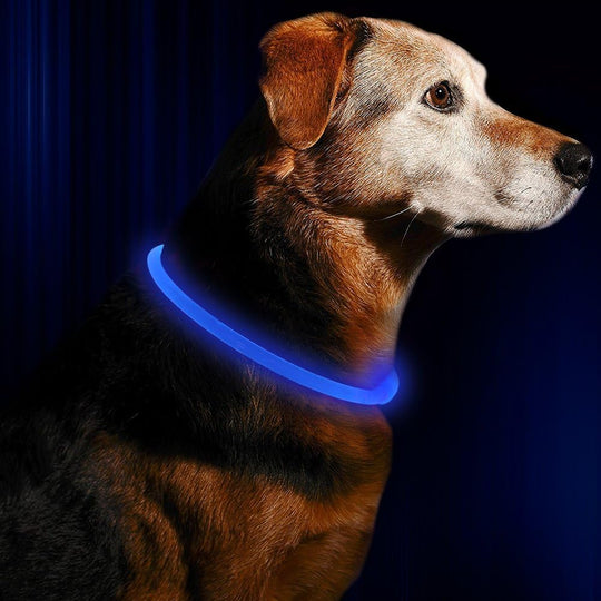 Hundehalsbånd med LED Lys til Sikkerhed 1