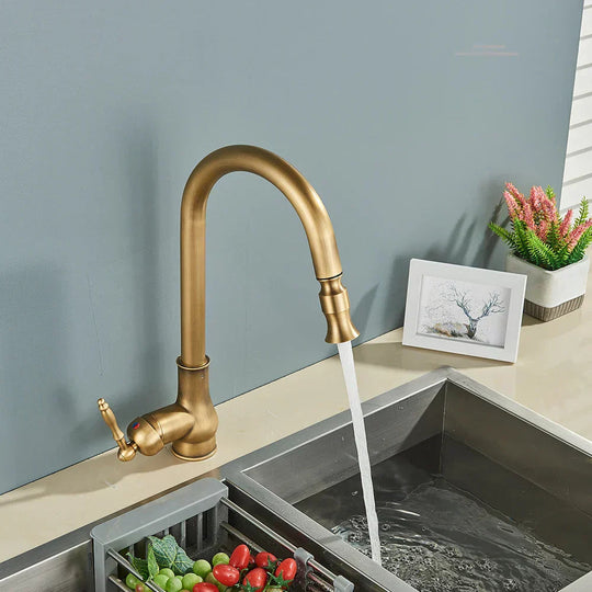 Køkkenarmatur Vintage Tap Retro Stil 3