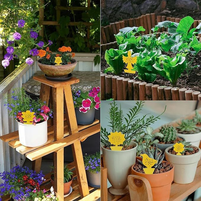 Køkkenbordskåner og bordskåner til kvinder med gulerodsformet design 4