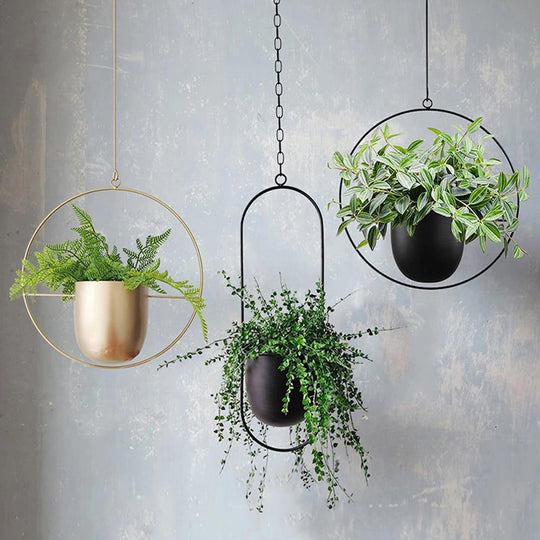 Vægplanteophæng Justerbar Kæde Minimalistisk Design 5